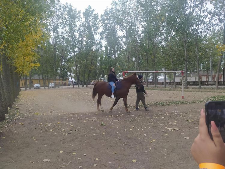 Kirándulás a Safari Parkban